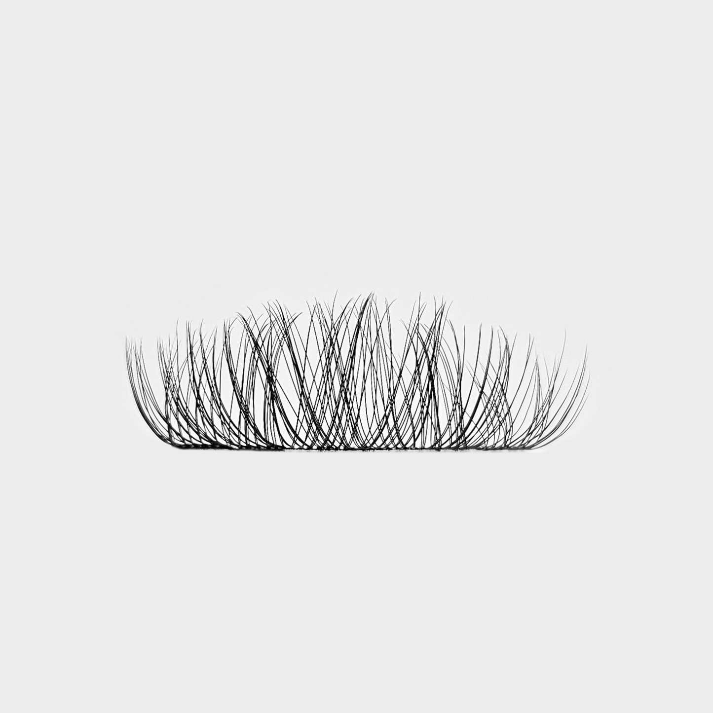 Charm Lashes