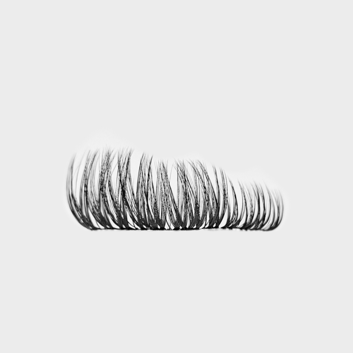 Dreamy Lashes