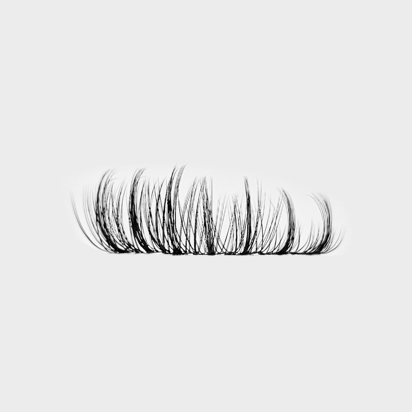 Fairy Lashes