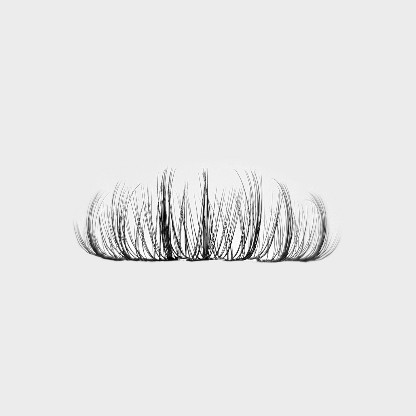 Fairy Lashes